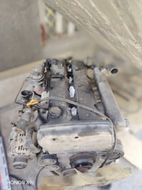 مكينة كرنفال • منغولي • لا تبخير