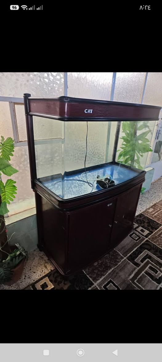 حوض سمك كبير السعر ب250الف


**إذا كنت صاحب هذا الإعلان وتريد حذفه لأي سبب، رجاءا أرسل رسالة إلى الدعم الفني**