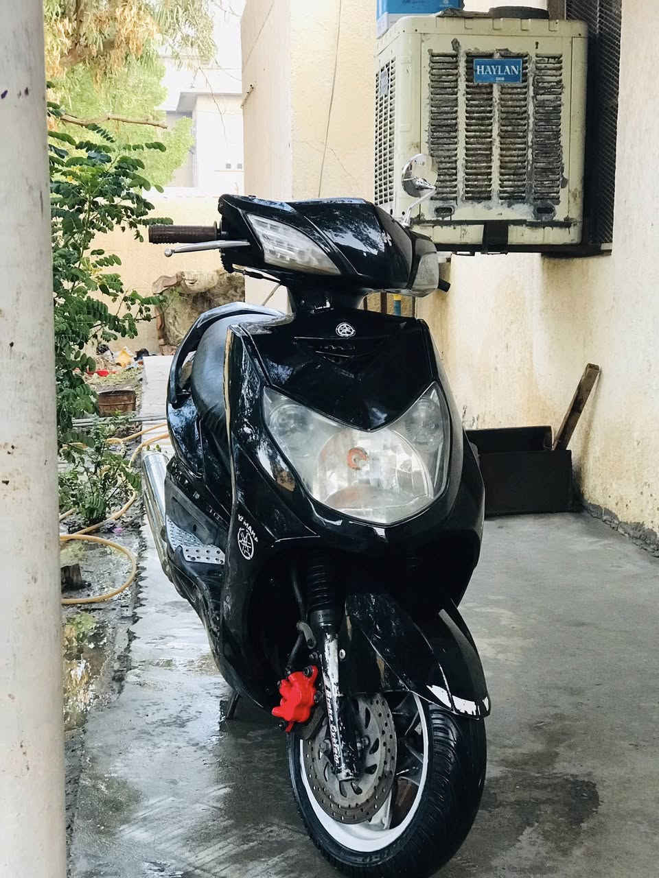 سلام عليكم سكنس فحل للبيع دراجه اي نقص مابيها كلشي شغال نكره سلف مكينه مكفوله مندخان كامله شراي 
***********
