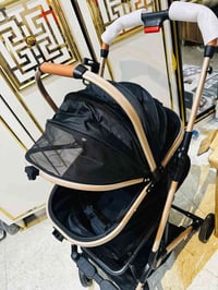 عربانه • جديده • ٤-٥ اشهر