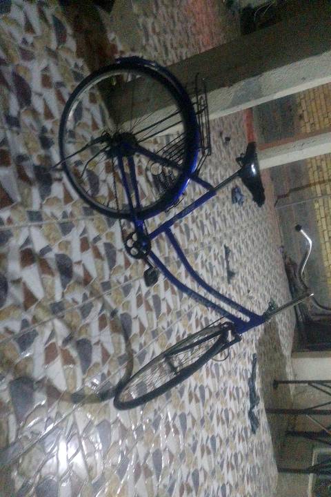 بايسكل نسائي لون أزرق بحالة جيدة جداً. ممتاز للتنقل اليومي في المدينة، سهل الاستخدام ومريح. مناسب للاستخدام الشخصي أو لمشاوير السوق.
شنو نوع البايسكل وهل هو بحالة جيدة؟: 
صيني
وين موقعك في العراق للتواصل؟: 
باب المحاوين حي النور قرب اسواق الزهراء
هل السعر قابل للتفاوض؟: 
لا

هل متوفر توصيل للمشتري؟: 
لا
هل تحتاج البايسكل إلى أي صيانة قريباً؟: 

لا