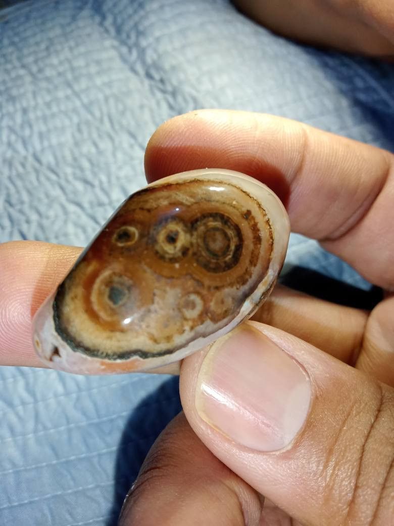 احجار داودي وسليماني احجار أصليه سعر الحجره ( 5الاف) مكاني بغداد مدينة الصدر 
توصيل ماعندي بغداد, العراق


**إذا كنت صاحب هذا الإعلان وتريد حذفه لأي سبب، رجاءا أرسل رسالة إلى الدعم الفني**