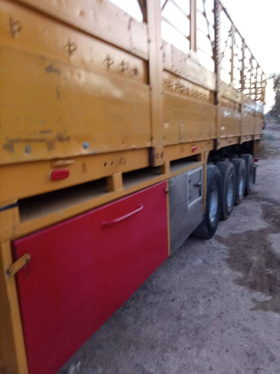 عريانه اربع دناكير طول 13 و60. ***********
