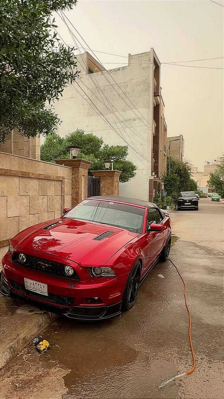 السلام عليكم شباب
Mustang gt premium 2013🐎❤️‍🔥
السياره فول مواصفات 
كشف شامو 

بريميوم 7 الوان / جلد شاشة معلومات بل دشبول انارة كيجات و انارة كلاصات وانارة تحت الرجل سستم صوت شيكر بلوتوث اتصال وتشغيل مو بس اتصال مثل العادية كشنات كهرباء
شاشه اندرويد 
تضليل امريكي 100‎%‎
گير اوتر 
لحيه RTR
دفيوزر وجنح شيلبي350
وياله فوزن نجمه قياس 20تو سايز 
السياره مفرغه وعليها داون بايب ستل ستيل 
عليها دبات ht power بوابات رموت تفتح وتسد حسب رغبتك نغمتها كلش حلوه ومابي دويه 
حلوك corsa

عليها برمجه سيفتي كت اوف وطلقات برمجتها استعمال يومي 
صدر جديد تايرات جدد السياره كلها جديد مابيها اي نقوصات ومسويلها ادامه كامله 
ماشيه 68mi
حادثها صندوك وشويه بارد بل جاملخ الخلفي بامريكا وبلعراق صار بيها جاملغ امامي جهة السايق وايرباك الدركه طاك 
 
صور حادثها موجوده

مكاني بغداد اليرموك 
***********

السعر :137وبيها مجال
