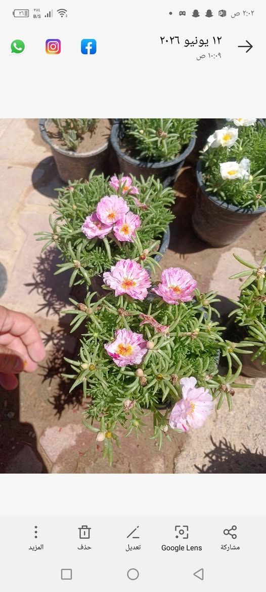 دانەی هه زار گەیاندن هه یە


**إذا كنت صاحب هذا الإعلان وتريد حذفه لأي سبب، رجاءا أرسل رسالة إلى الدعم الفني**