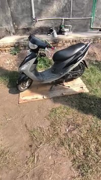 ماكس منغولي • معدل فول • حله الطهمازيه