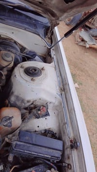 مارك مصطره • بصرة • قضاء الغراف