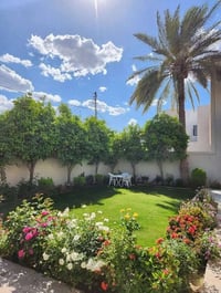 عندك حديقة وتريدها تصير أجمل؟ نحن نوفر تصميم وتنفيذ وتنسيق الحدائق مع ...