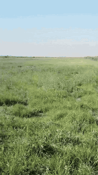 سفحه للبيع 45 دونم كله ضاربه نايمه
مكان  طريق سيد أحمد رفاعي  بصف بزل يم  بوريات الزيديه  ماي متوفر بيها
  للاتصال ***********
***********
