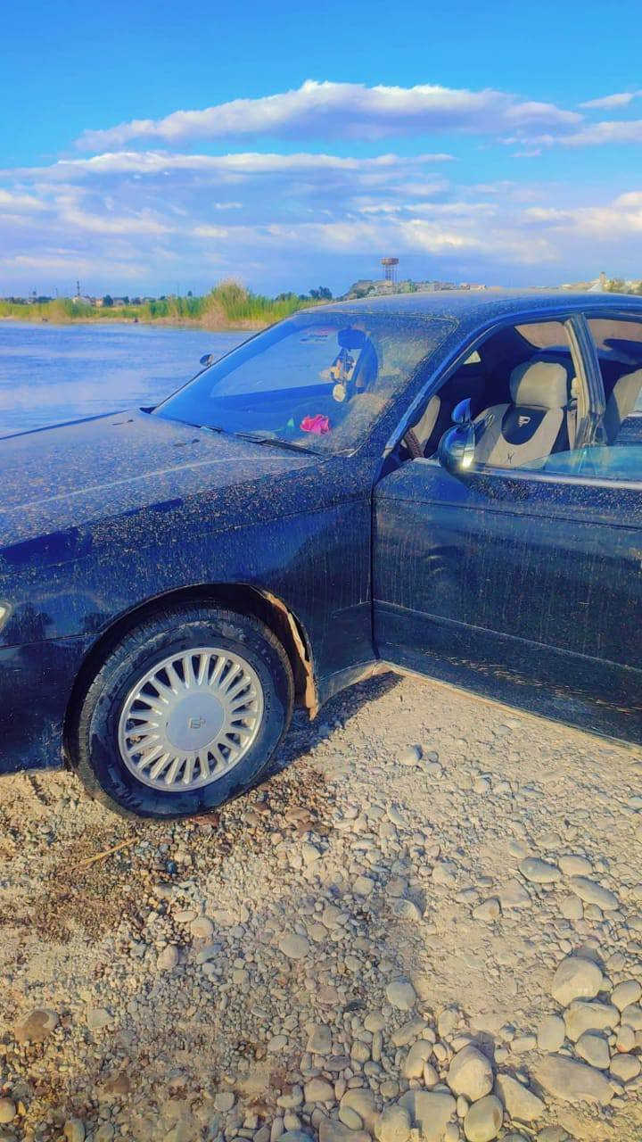 سلام وعليكم مارك نفخ موديل 92بسمي سنويه لل 30 صبغ عام بيها ضربه جامرلق الامامي محرك كير شرط كفاله من الكص ونقل الجثه محرك بطه 2500 الشراي يتصل ***********
اذا مو شراي لا تعبني مستعجل علا بيعها مكاني ديالى
