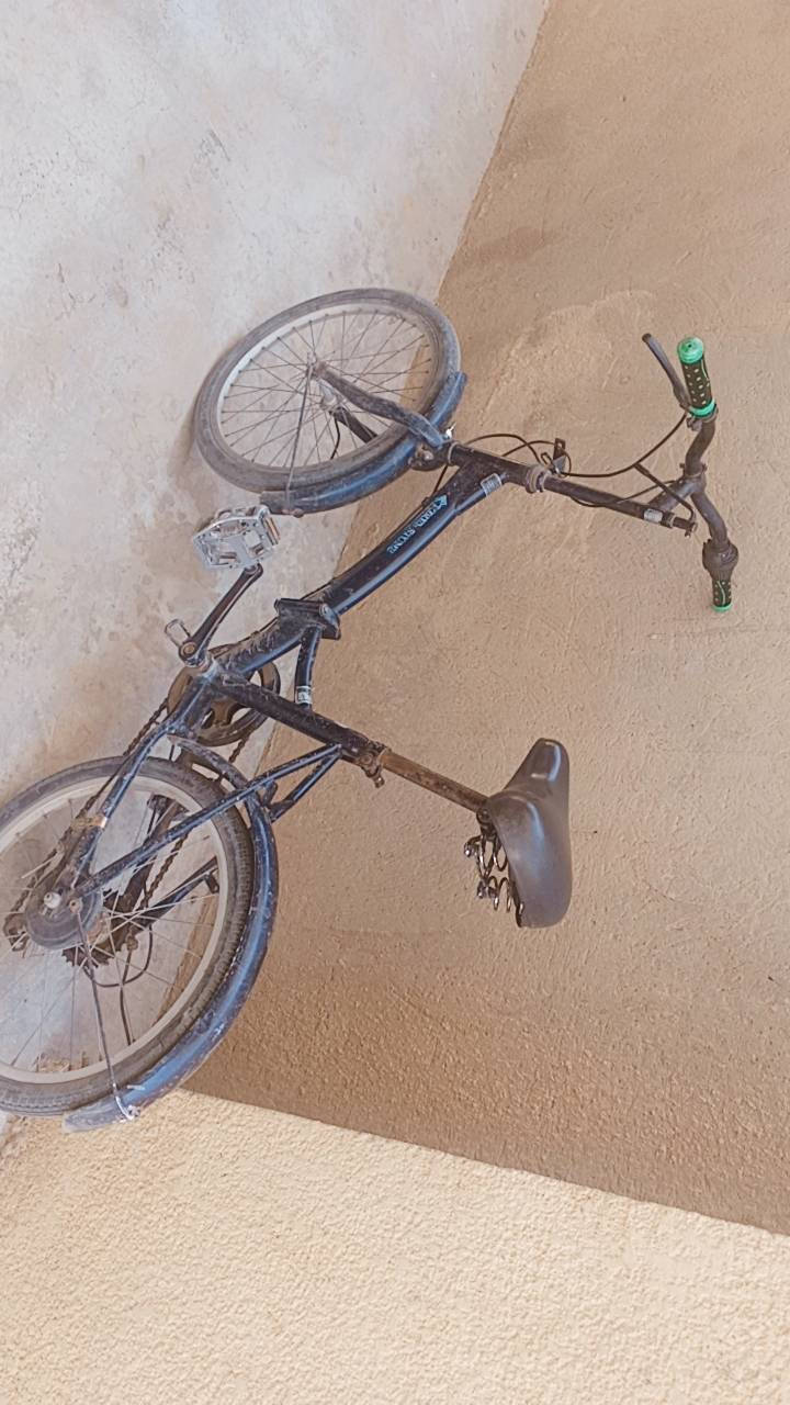 السلام عليكم ورحمة الله 
بايسكلات عدد ٢ حجم ٢٠ باله للبيع الأسود جاهز مناقصة شي 
والأبيض يحتاج بس نفخ 
للتواصل ***********
