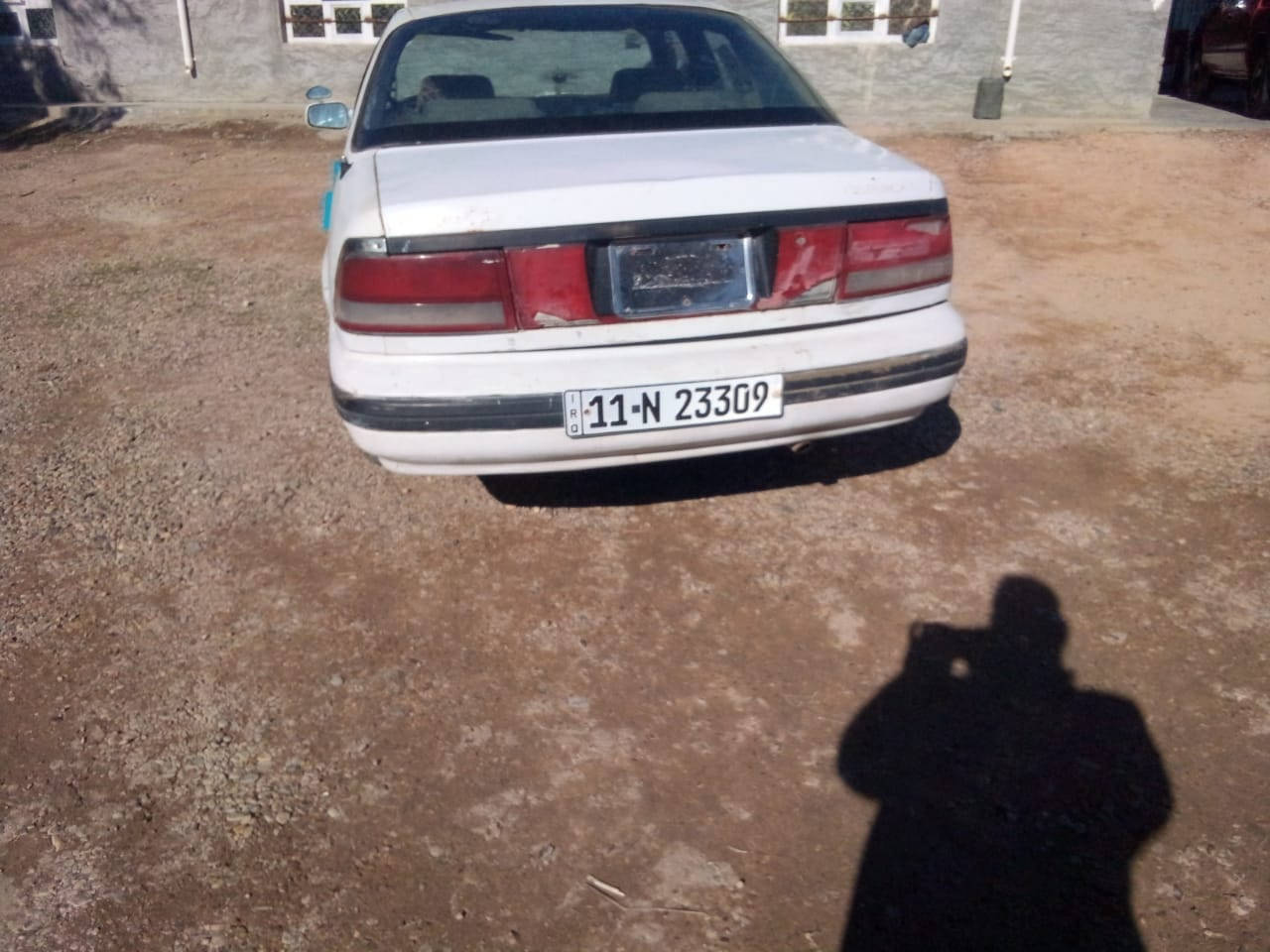 سلام عليكم برنس موديل 95 محرك كير اكسن مكفول رقم بغداد انكليزي سنوية عضم عاج مشروع وطني للغايه 2030 تحويل مباشر سعر 25 وبيها مجال هاذا رقم الهاتف وشراي يدلل. ***********
