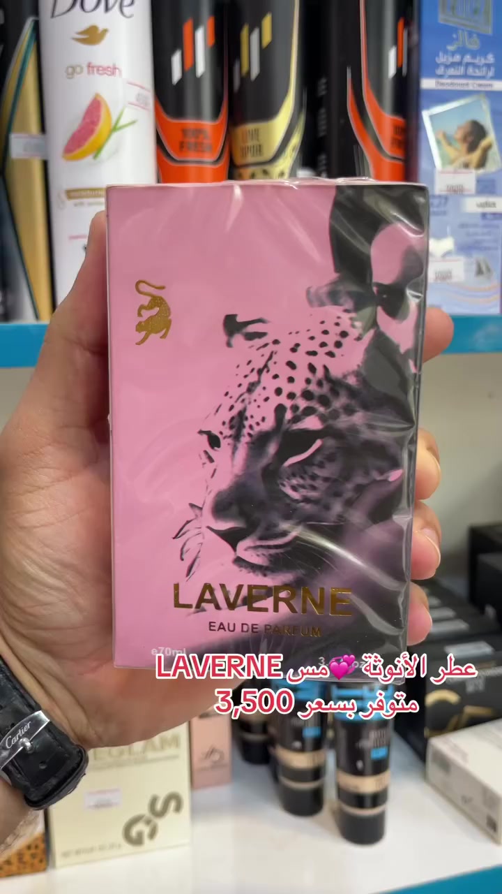 عطر الأنوثة 💞مس LAVERNE 
متوفر بسعر 3,500


**إذا كنت صاحب هذا الإعلان وتريد حذفه لأي سبب، رجاءا أرسل رسالة إلى الدعم الفني**