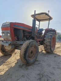 عنتر 81 محسن • بدون أرقام