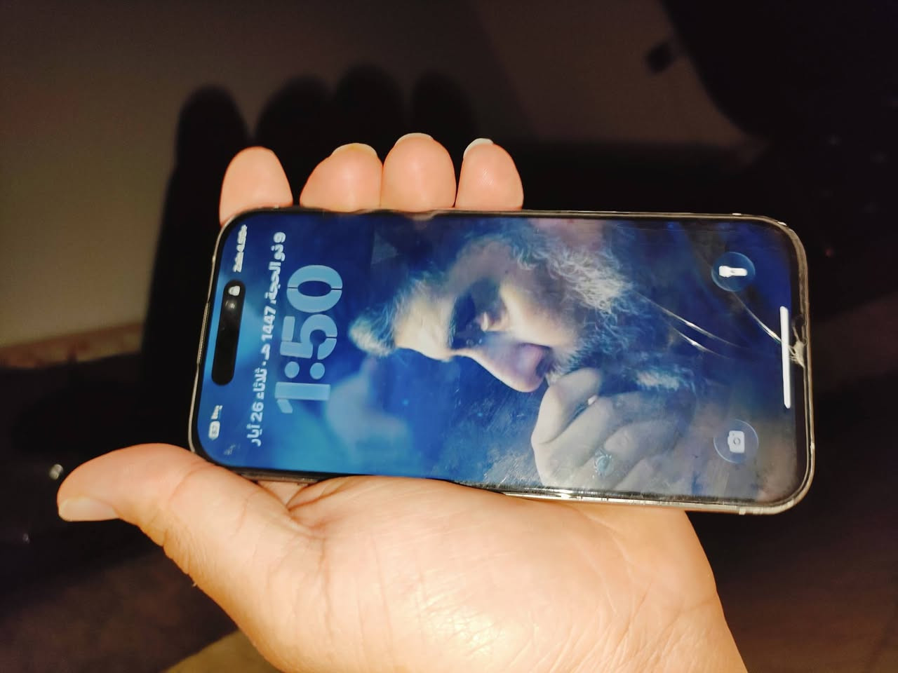 ١٥ برو فقط
ذاكرة ٢٥٦  دبل شريحة

مبدل   GX Soft OLED أصلية ٢١٠ ألف سعرها

وبطارية أصلية سعرها ٨٠ ألف  نسبة البطاريه ٩٧   

والفيس واكف يتصل ٥٠ ألف 

عنوان نجف  ***********

سعره ٥٨٥ وبي مجال
