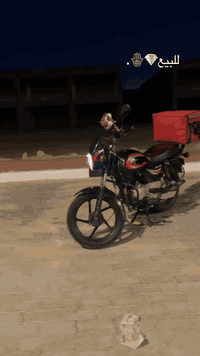 سلام عليكم دراجه بوكسر مديل 2021رقم وسنويه للبيع
دراجه حلوه كلشي بيها شغال وما بيها اينقص مجفته تجفيت شركه بدلت ولفات وزنجيل يم علي الصبيحاوي  ودراجه خير من الله 
السعر:1900وبيها مجال حك الجيه 
مكاني بصره قبله حي المهندسين
رقمي للتواصل :***********
