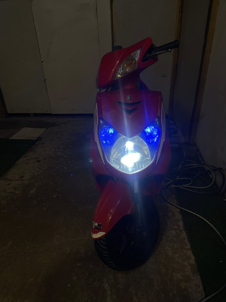 للبيع او مراوس سكنس فحل ياباني الأمين الثانيه ***********
