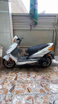 شباب سكنس فحل للبيع نوزل جويتر رياضي ٣٤ نوزل ١٢ دراجه ٥٩ بوشته كور صلي...