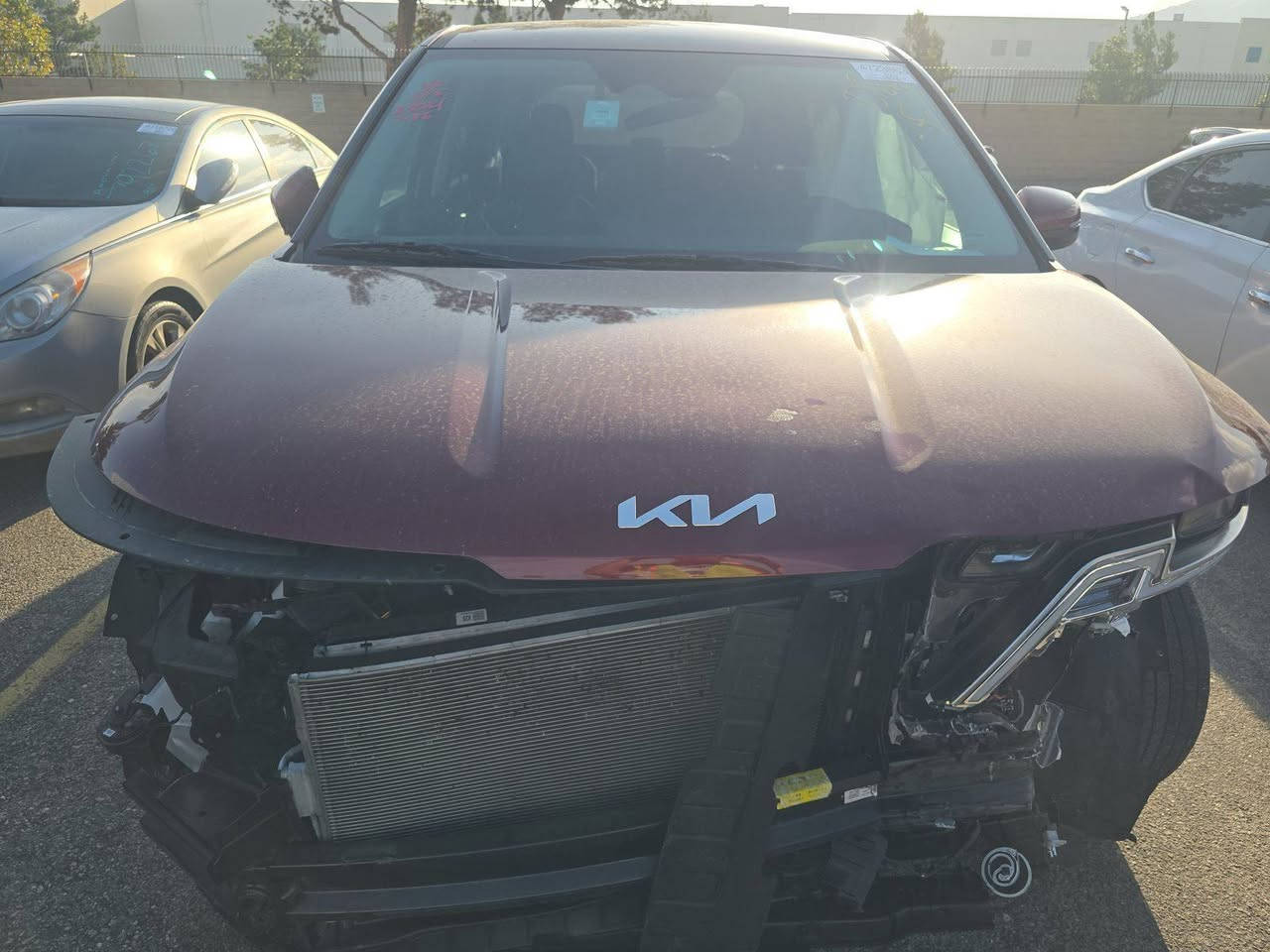 *كيـــا كــرنفـــال موديــ2024ـل*
حالين بدبي تستلم جاهز واصل المحافضتك 
*السعر239$ مع التصليح مرقم شهداء


**إذا كنت صاحب هذا الإعلان وتريد حذفه لأي سبب، رجاءا أرسل رسالة إلى الدعم الفني**