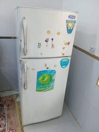 كونكورد • ١٦ قدم • تجميد فول