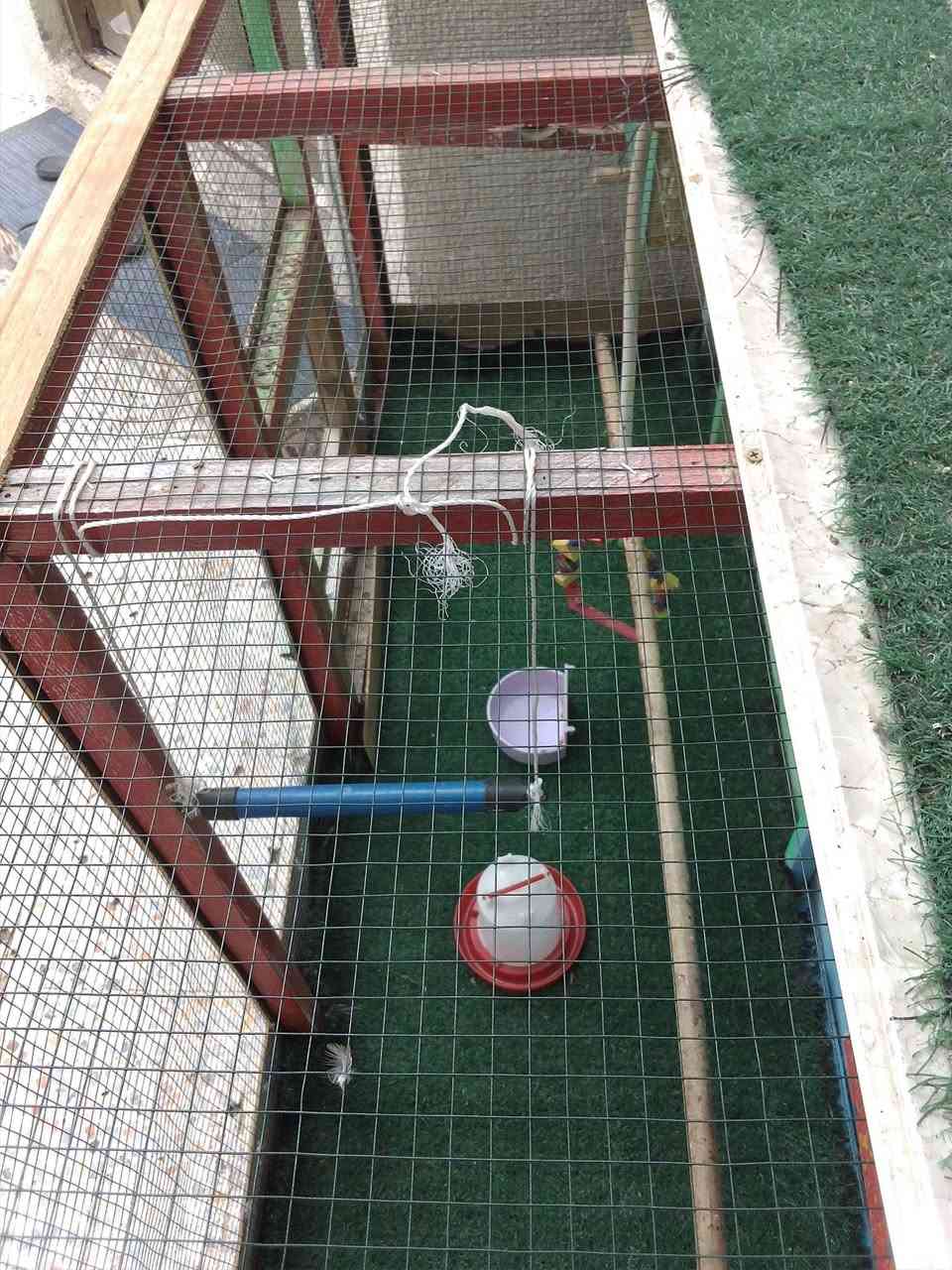 قفص للبيع مترتين اله اشويه بي اظائه وملحقاته ويا نظيف سعر60 بي مجال ماعدهم مكان اله مكلف بل نشر


**إذا كنت صاحب هذا الإعلان وتريد حذفه لأي سبب، رجاءا أرسل رسالة إلى الدعم الفني**