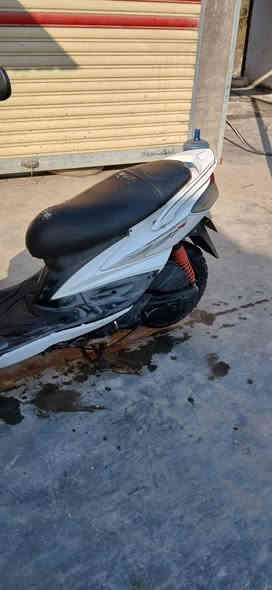 للبيع سكنس فحل ختم واحد دراجه جديده مال رمبه مكفوله مكينه ناعمه كفرات اصليه شلعه معدل خير من الله شرط برغي ممفتوح بيهه مكاني بغداد سعر 600  ***********
