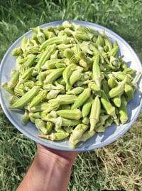 بانية • ناعمه • توصيل للبيت