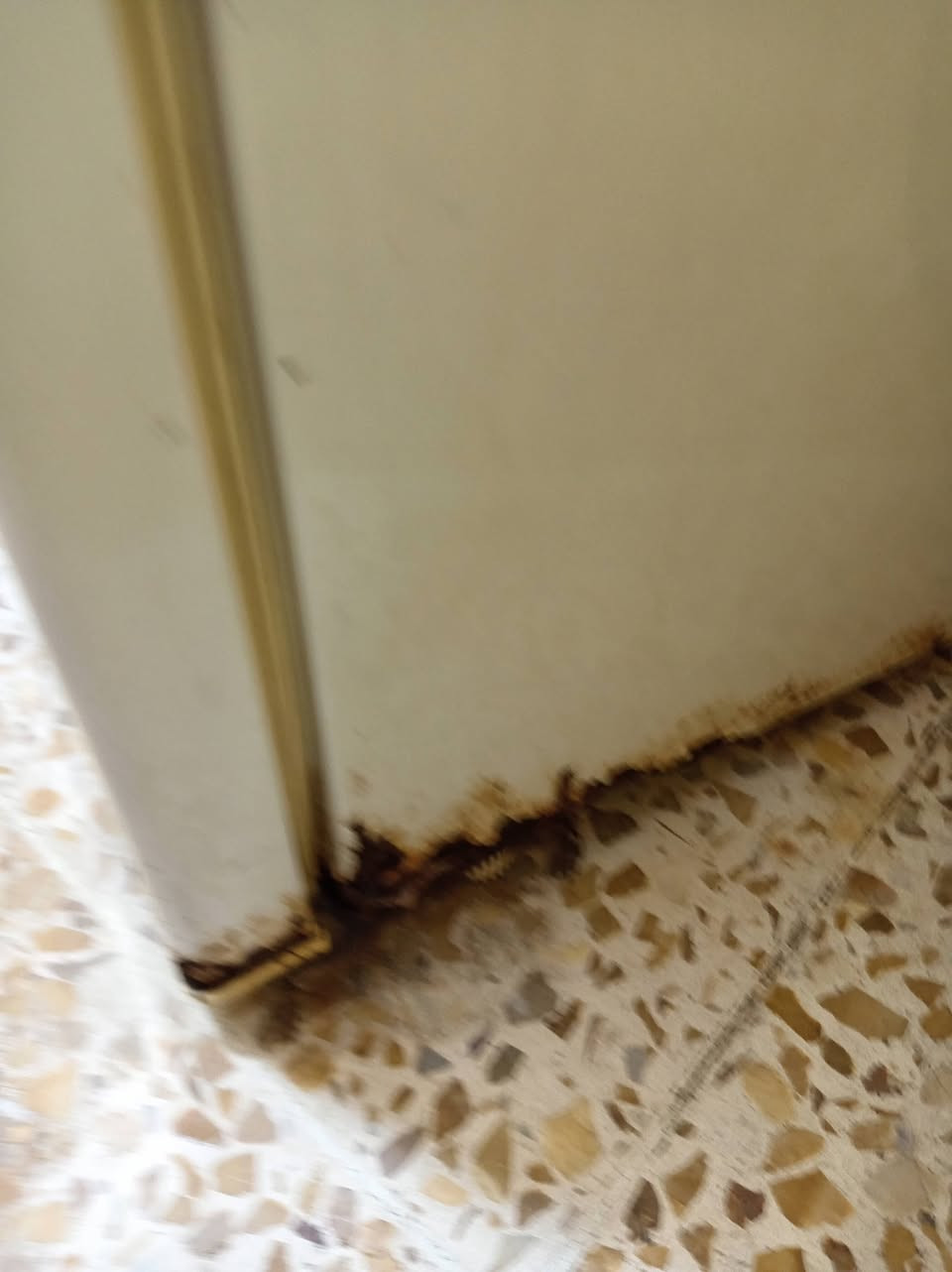 ثلاجه مستعمله شغاله فول تجميد. وشكلها واضح بيها شوي خياس من الجانب. سعرها ب١٠٠ الف ***********
