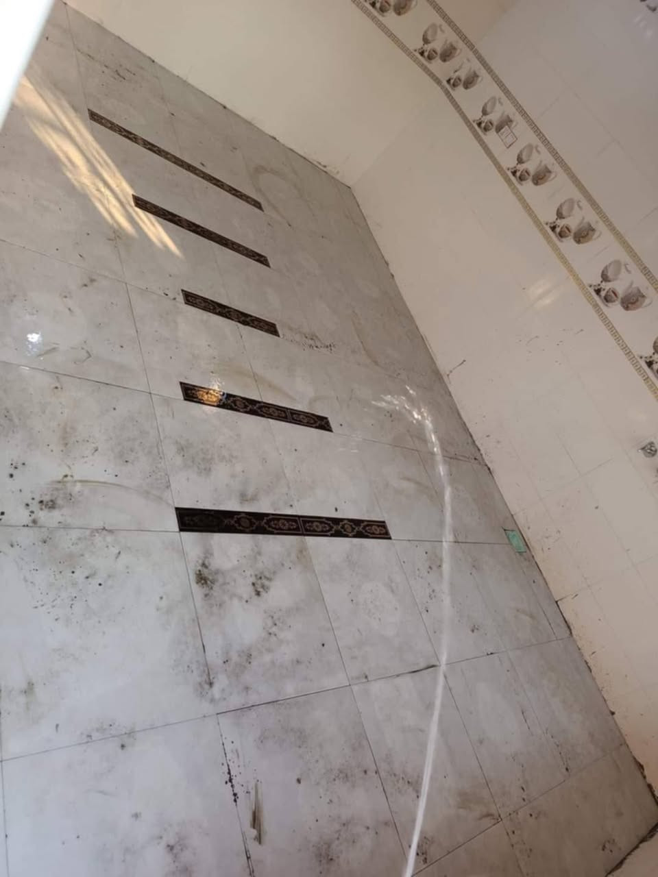يا الله سلام عليكم خلفه سيراميك رضيات وجدران وبايات دراج وبورسلين كاشي ومرمر مستعدين كافات عمال ترميم وتفليش وشرط شغل درجه وله  مكاني كربلاء وطوريج هاذه رقمي ***********   ***********
