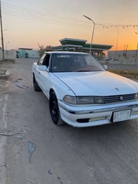 شبوط • نقل جثه • ميسان