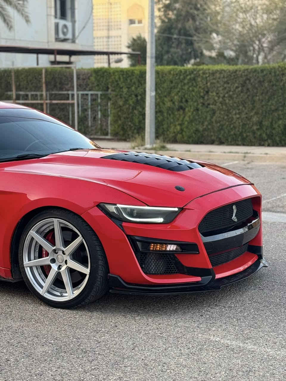 السلام عليكم من رخصة الادمن سونك الاحمر للبيع😂❤️
فورد موستنك GT 2016 
الموديل: [ 2016 ]
المحرك: [ V8 / 5.0 ] 🔥
الگير: [ أوتوماتيك ]
الون : [ أحمر - مميز ] ❤️
الرقم:[بغداد الدولي الجديد]
الحالة: [ السيـارة حـادثهـا من امريكا جاملـغ وبنيد فقط ومرشوش وياه كلير باب والجاملغ الاخ الخلفي يعني ٤ قطع أبيع حزام، ]

[ السعر للتواصل خاص او واتساب ] 

- السيـارة فووووول مواصفات بريميوم
- ⁠عليهـا هواية أضافـات 
-شوتة KN
-هدرز لونك تيوب
-دبات بورلا ريمونت
-اكس بايب
-حلوك دبل كورسا
-مازدات هينسي
-بك لايت كلير تكساس
-لدات تكساس
-جنح GT اصلي
-ويل فويسن اصلي
-دفيوزر 10نمر اصلي
-كت شيلبي دعاميه وبنيد

مكينه كير اكسل صدر كلة كفالة
بدون فتح بدون تبخير السيارة كلش جديدة وهواي مصروف عليهة
السيارة هواي مصروف عليهة 
الموقع: [ صلاح الدين / الدور ] 📍

للتواصل واتس اب او اتصال : [ *********** ]
