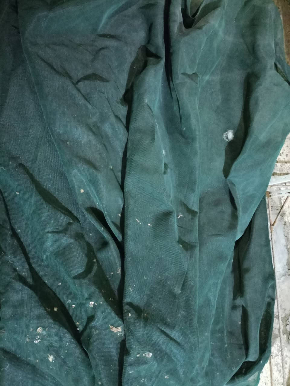 مظلة شمس للبيع ... طول ١٠ امتار☀☂️


**إذا كنت صاحب هذا الإعلان وتريد حذفه لأي سبب، رجاءا أرسل رسالة إلى الدعم الفني**