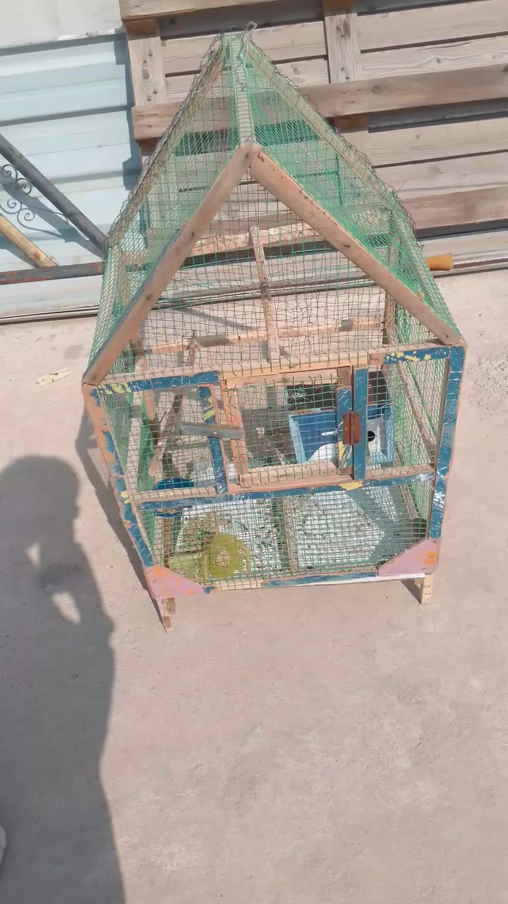 السلام عليكم قفص للبيع السعر كامل 5 تالف المكان موصل الايسر قرب سوق الجمعه


**إذا كنت صاحب هذا الإعلان وتريد حذفه لأي سبب، رجاءا أرسل رسالة إلى الدعم الفني**