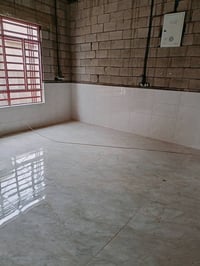 كادر أرضي • جدران • متفرغ