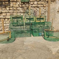 اقفاص بلابل • للبيع • سعر خاص