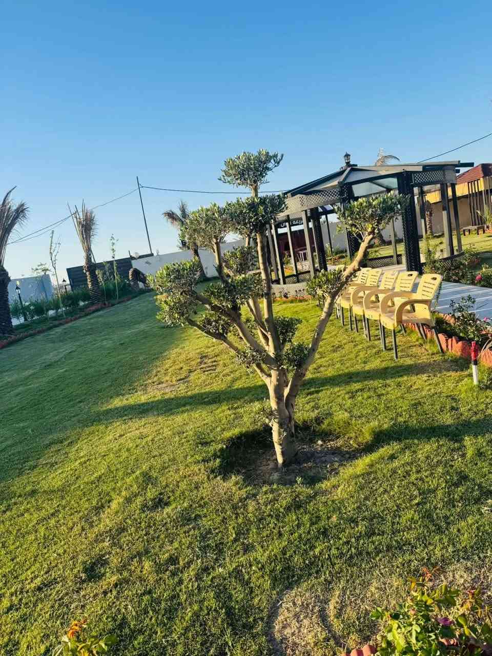 مزرعه الايجار يومي في ابو غريب السميلات تواصل وتساب ***********

