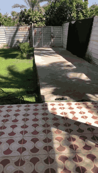 🏡🏡🏡🏡🏡🏡🏡🏡🏡🏡🏡🏡🏡🏡🏡🏡🏡🏡🌲🌲🌲🌲🌲🌲🌲🌲🌲🌴🌴🌴🌴🌴🌴🌴🌴🌴🔥🔥🔥🔥🔥🔥🔥🔥🔥🔥🔥🔥🔥🔥فرصه عرض دار زراعي للبيع مساحة الدار مع الحديقه 1650م مزروعه نخل حمضيات العنوان طريق ابن سيناخدمات كامله طريق تبليط ماء كهرباء ماء سقي المواصفات الدار بيت جديد غرفتين نوم وصاله ومطبخ وحمام الدار سيراميك كراج سيارات حديقه أمام الدار اخوان مع الدار هديه للمشتري سبالت عدد3اخوان السعر مغري جدا بمعنى الكلمه للاستعلام أكثر اتصل على مكتب علاء ابو غزوان للعقار الطارميه عمارة ابو صخر 🔥🥰🌹🥀🥀🏵️🏵️🪻🪻🪴🪴🪴🌹🌹🌹🌹🌹🏠🏤🏤🛤️🛤️ مستعدون لنشر عقاراتكم وترويجها على صفحات مكتبنا ومن الله التوفيق للجميع 📞***********☎️☎️☎️***********
