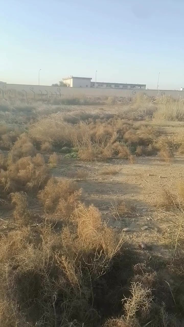 السلام عليكم ورحمة الله وبركاته
قطعتان ارض زراعي متجاورتين سند ٢٥ للبيع
المكان حي المتنبي مجاور اسالة الماء
القطعة الاولى المساحه ٨٥٠ م 
القطعه الثانيه ٧٢٨ م 
يباعن معا او مفرد
للاستفسار 
*********** 
***********
