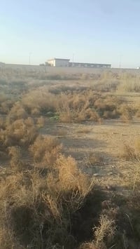 وبركاته قطعتان ارض زراعي متجاورتين سند ٢٥ للبيع المكان حي المتنبي مجاو...