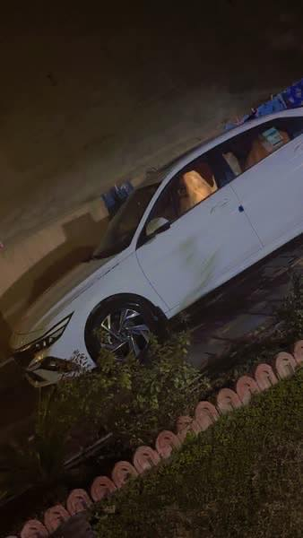 السلام عليكم. النترا بدون ارقام
بدون ارقام موديل ٢٠٢٤ خليجي 
ماشيه ٢٠ الف بحاله الزيرو مكفوله من البارد والصبغ 
مكينه ٢٠٠٠ كوري اصلي وليس صيني 
فول مواصفات 
مكانه بغداد  رايده ب ١٧٠ وبيه مجال بسيط 

***********رقمي
