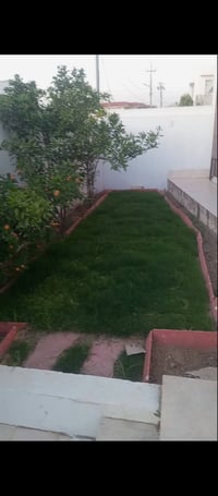 حديقجي محترف • أربيل • تنسيق حدائق