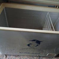 مجمدة • حجم كبير • ضمان اسبوع