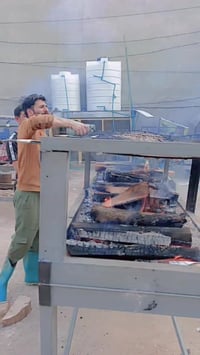 نجف • متفرغ • دجاج وسمك