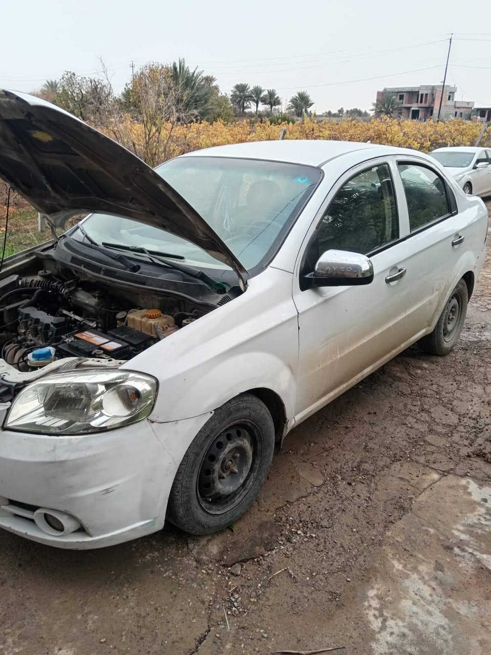 السلام عليكم للبيع افيو موديل 11 خليجي بدون قطرة صبغ ينرادله ترتيبات دعاميات فقط رقم صلاح الدين دولي بسمي تحويل ثاني كير ومحرك امجفتة قبل شهر السعر 55 وبيه مجال شي بصيط حك الجية مكان السيارة صلاح الدين الضلوعيه للاستفسار ***********
