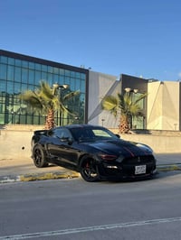 موستنك V6 • رقم اربيل • تحويل شركة