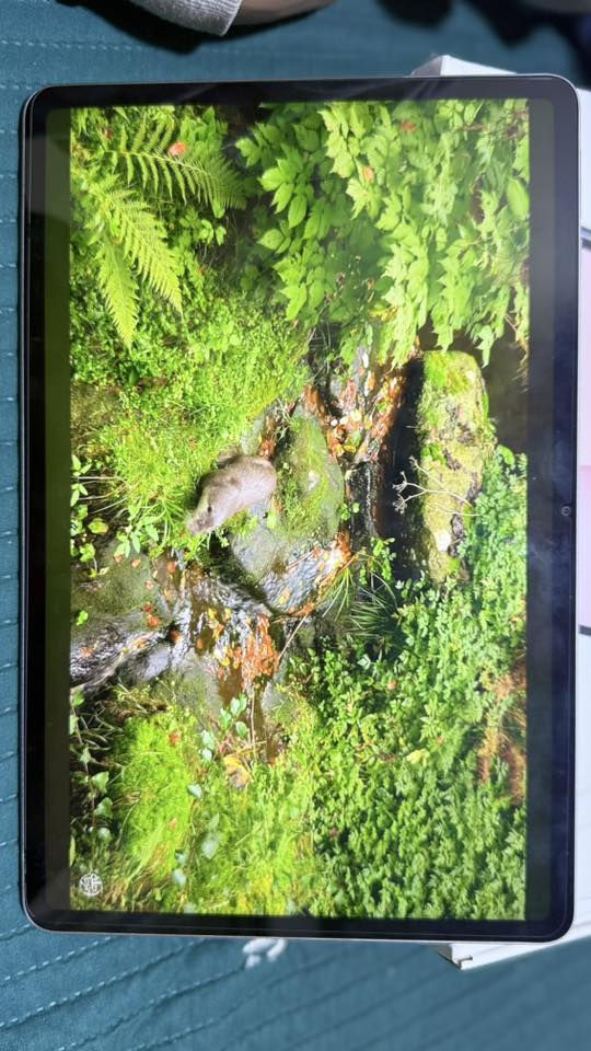 توصيل مجاني ايباد هونر 10 جديد ب420


**إذا كنت صاحب هذا الإعلان وتريد حذفه لأي سبب، رجاءا أرسل رسالة إلى الدعم الفني**