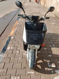 بيكب • ياباني • ستوته