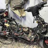 البيع دراجه ثعلب كامله حلوه عده عقل الدراجه نوزل السعر 500وبيه مجال وخ...