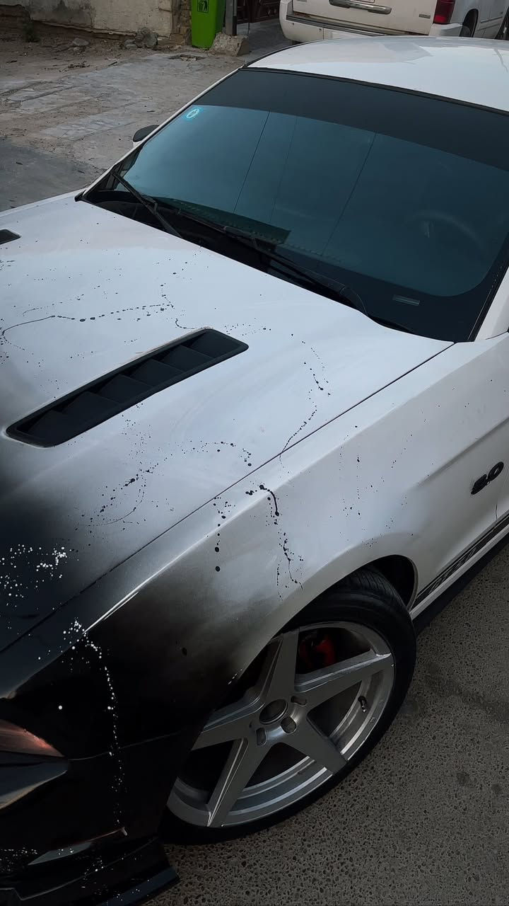 موستنك gt 2013 بريميوم فول
عليهه هدرز لونك امريكان ريسنك
وعليهه شوته AIRAID
حشوه المكينه مزوده
عليهه برمجه
السياره فول هوائيات 
السياره شتريتهه حزام بس هيه مو 
حزام بيهه قطع
غرفتهه جلد جديده كلش
تخم تاير جديد بلجيس
وياله فويسن 20
صدر امامي خلفي جديد
السياره نقصهه تبريد شتريتهه كلي منقصه غاز ومافحصت على حطتهه 
رقم بغداد الجديد
هزه وسنويه جديدات 
هزه بعد 9 اشهر يله تسقط والسنويه 2032
سعرهه 128
مكان السياره بغداد اليرموك ***********
