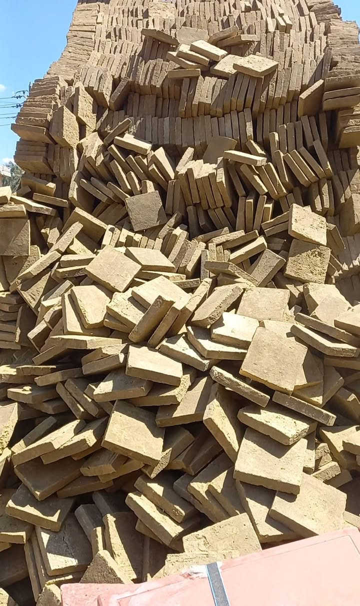 تعلن سكله المنكوشي للبيع الفرشي خضراوي درجه اولى التواصل العنوان كربلاء تصال ع *********** ***********
